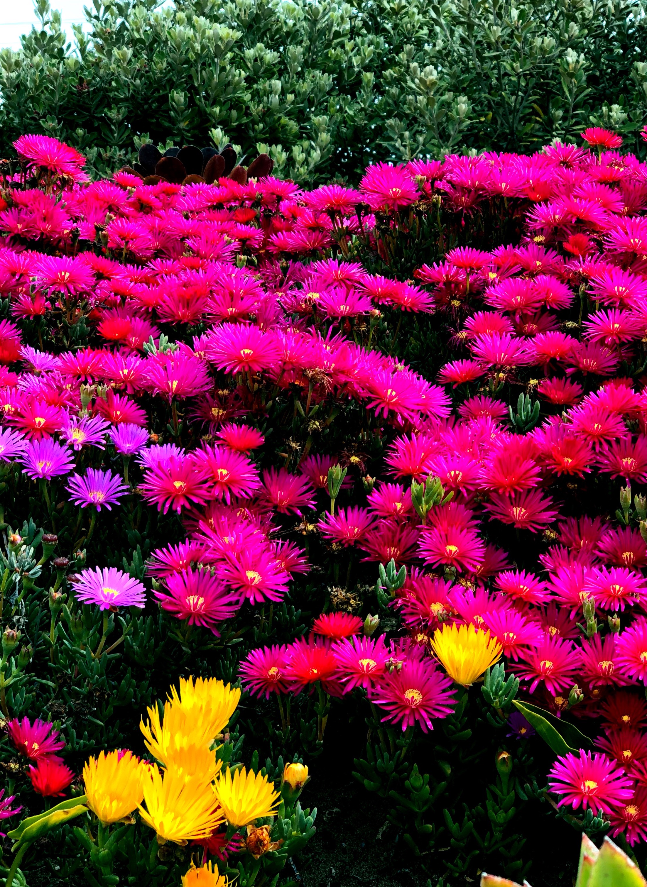 Brighten Me HDR Equalizer